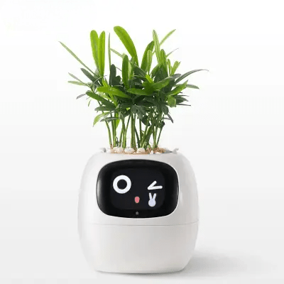 Pot de fleurs -  SmartPlanter™ - Blanc