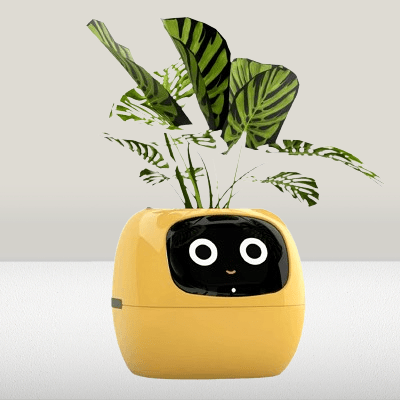 Pot de fleurs -  SmartPlanter™ - Jaune